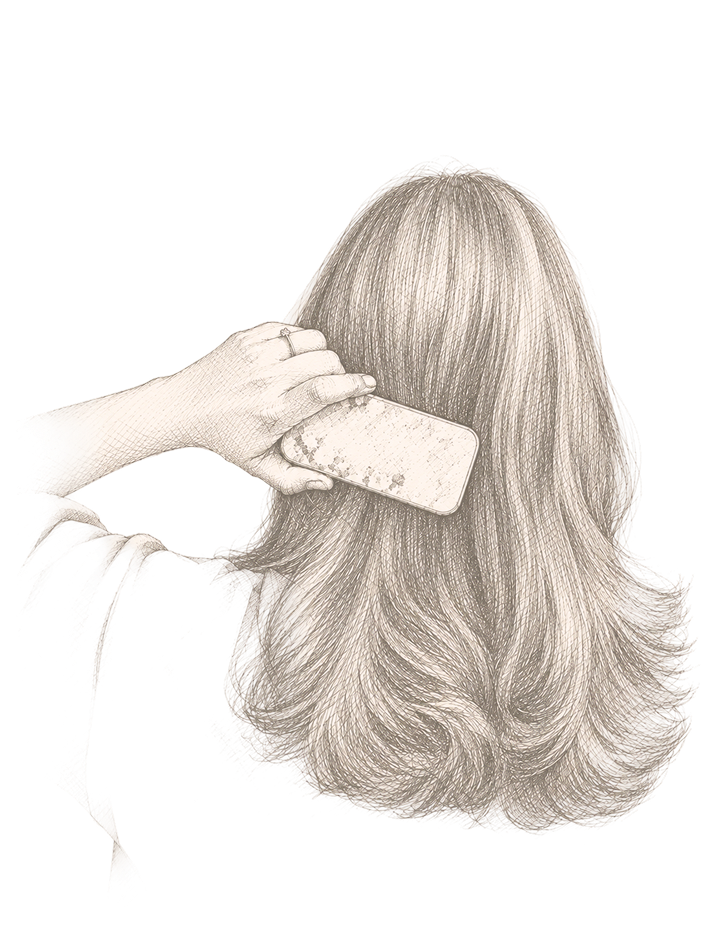 THE VANITY BRUSH
